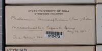 Image Associated With the Occurence
